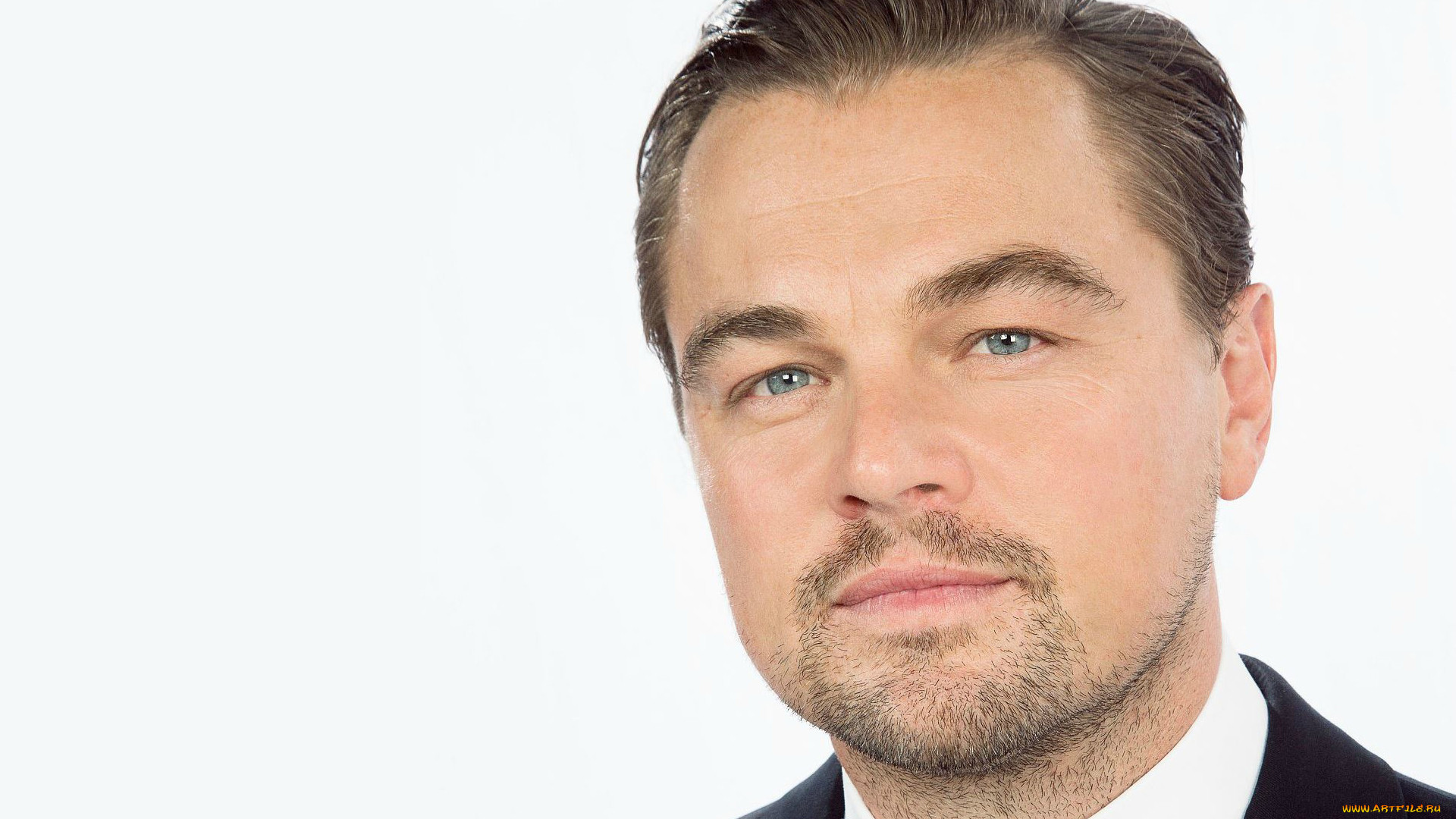 , leonardo dicaprio, leonardo, dicaprio, 